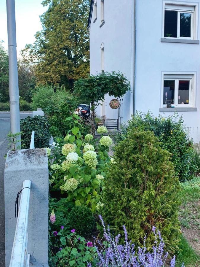 Sascha'S Home Зарлуї Екстер'єр фото